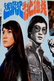 Poster The Escaped Convict 1973
