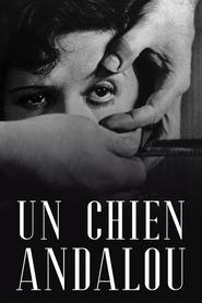 Image Un chien andalou