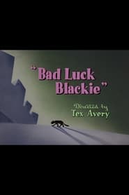 Bad Luck Blackie постер