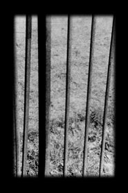 Poster Railings 1977