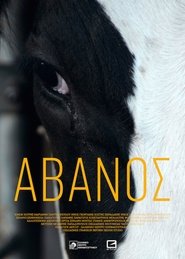 Avanos (2018)