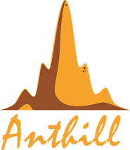 Anthill Studios