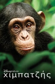 Χιμπατζής (2012)
