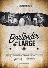 Poster Bartender At Large 2017