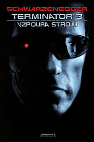 Terminátor 3: Vzpoura strojů [Terminator 3: Rise of the Machines]