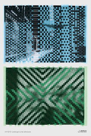 Landscape in the Afternoon (2013)