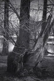 Poster A Stranger 1970