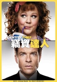 身份窃贼 (2013)
