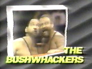 March 11, 1989 - Superstars of Wrestling 132