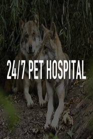 24/7 Pet Hospital постер