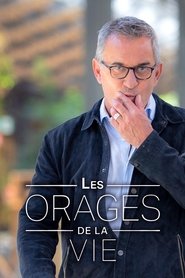 Poster for Les orages de la vie