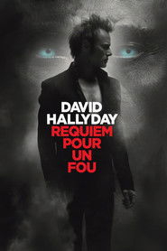 David Hallyday, requiem pour un fou (2025)