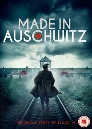 Made in Auschwitz: The Untold Story of Block 10 (2019)