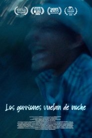 Poster Los gorriones vuelan de noche 2025