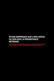 Poster Empirical Study on the Influence of Sound on the Persistence of Vision 2011