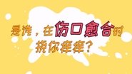 【人体 皮肤】是谁，在伤口愈合时挠你痒痒？