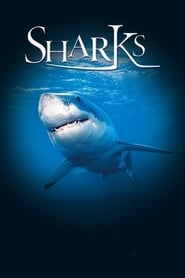 Sharks 3D постер