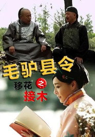 Постер: 毛驴县令之移花接木