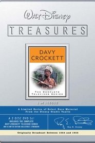 Poster The Crockett Craze 2001