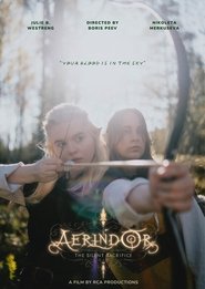 Aerindor: The silent sacrifice (2024)