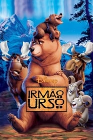 Image Irmão Urso