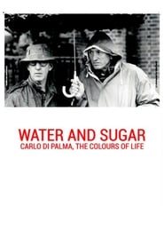 De l'Eau et du Sucre : Carlo Di Palma, les Couleurs de la Vie streaming