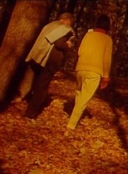 Poster Detel + Jón 1993