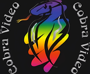 Logo for Cobra Video Logo for Cobra Video