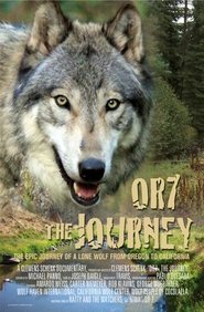 Or7: The Journey) Or7: The Journey ()