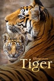 Tiger 2024 Бясплатны неабмежаваны доступ