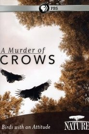 Poster A Murder of Crows 2010