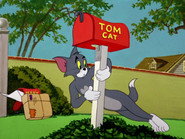 Life With Tom