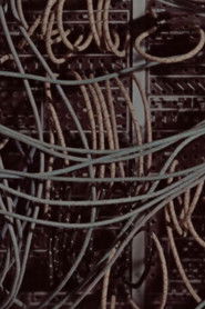 Cinque anni in un giorno