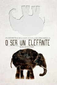 Poster O ser un elefante