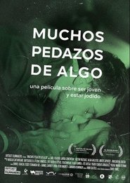 Poster Many Pieces of Something 2015