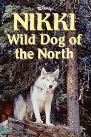 Nikki, Wild Dog of the North постер