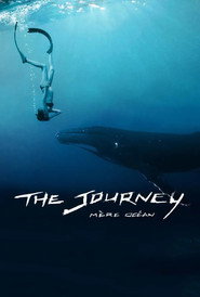 The Journey: Mother Ocean (2016)