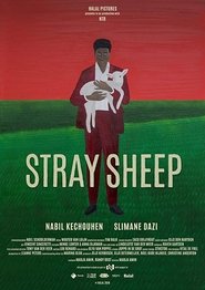 Poster Stray Sheep