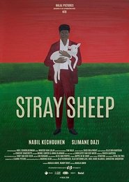 Poster Stray Sheep 2018
