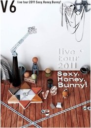 Poster V6 live tour 2011 Sexy.Honey.Bunny!