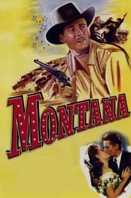 Montana постер
