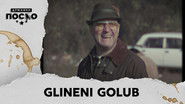 2495 Glineni golub