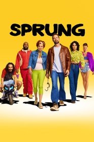 Full Cast of Sprung