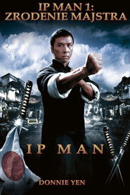 Ip Man: Zrodenie majstra 2008