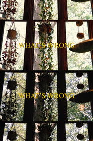 What's Wrong