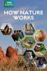 How Nature Works Episode Rating Graph poster