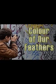 Colour of our Feathers