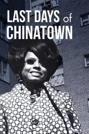 Poster Last Days of Chinatown 2017