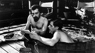 American Boy: A Profile of Steven Prince en streaming