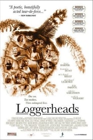 Voir Loggerheads en streaming